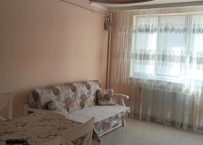 шикарные на ул.княгини ольги ,100к.